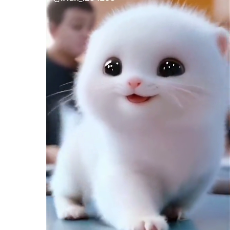 Muqaddas Afzal-Freelancer in Jhal Chakian , Sargodha,Pakistan