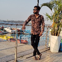 Satyam Solanki-Freelancer in Bhopal,India