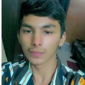 Prince Pathak-Freelancer in Delhi,India