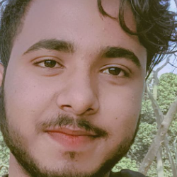 Sushil Kumar-Freelancer in Patna,India