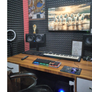 Ld Sarda-Freelancer in Jind,India