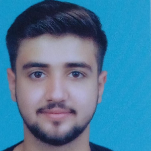 Ali Hussain-Freelancer in Gujrat,Pakistan