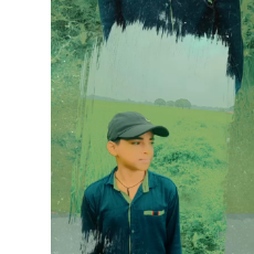 Habibullah Khan-Freelancer in Siddharthanagar,Nepal