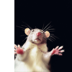 Sandhuhere-Freelancer in Chandigarh,India