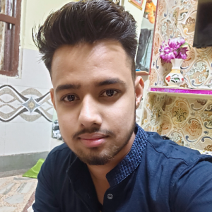 Tikam Chand Mochi-Freelancer in Bhilwara,India