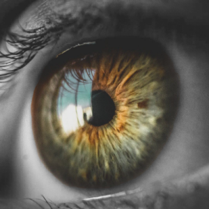 Louis Trouillot-Freelancer in noumea,Netherlands