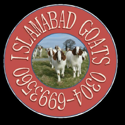 Goats Show Islamabad-Freelancer in ,Pakistan
