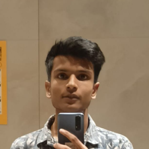 Ayush Gupta-Freelancer in Noida,India