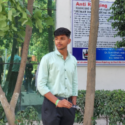 Himanshu-Freelancer in Panipat,India