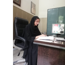 Maria Waris-Freelancer in Gujranwala,Pakistan