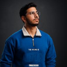 Mohamad Mobini-Freelancer in Paris,France
