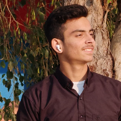 Harsh Arora-Freelancer in Malout,India