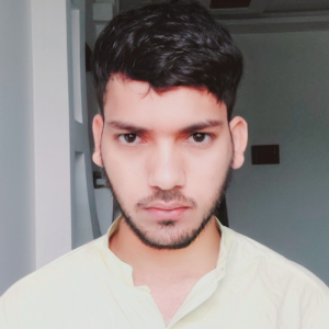 Md Ali Hasan-Freelancer in Asansol,India