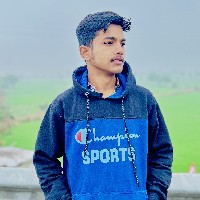 Rajkumar Katare-Freelancer in Puwar Kheda Basti,India
