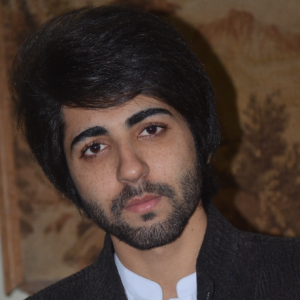 Hassan Bashar-Freelancer in Kotha,Pakistan