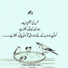 Sadia Shaheen-Freelancer in Pakpattan,Pakistan