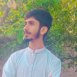 Muhammad Mubashir-Freelancer in Lahore,Pakistan