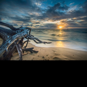 Saiful Islam-Freelancer in shylet,Bangladesh