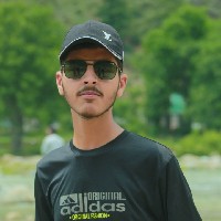Ahmer Ali-Freelancer in Risalpur,Pakistan
