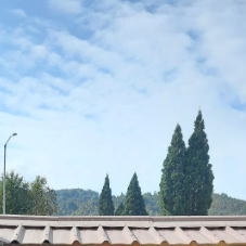 Sonam Wangmo-Freelancer in Sigyel,Bhutan