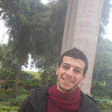 Abd El-Rahman Nabil-Freelancer in Cairo, Egypt,Egypt