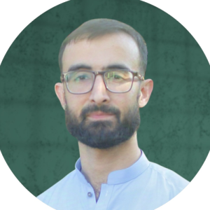 Hamza Ihsan-Freelancer in Lahore,Pakistan