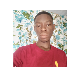 Basile-Freelancer in Davie,Togo