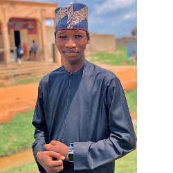 Idris Sada-Freelancer in Gwazaye,Nigeria