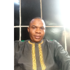 Ali Mohammed-Freelancer in Abuja,Nigeria