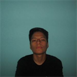 Diego Coaquira-Freelancer in Lima,Peru