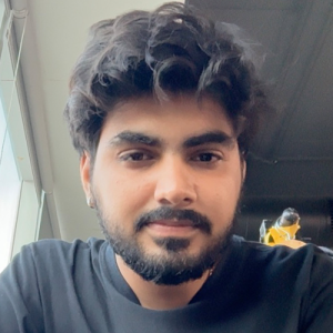 Nitish-Freelancer in Faridabad,India