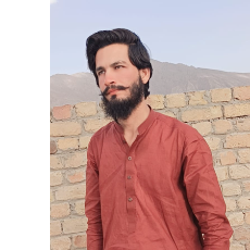 King Kong-Freelancer in Sialkot,Pakistan