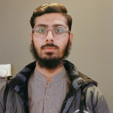 Salman Ali-Freelancer in Lahore,Pakistan