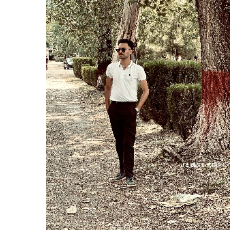 Areeb Ali-Freelancer in Abbottabad,Pakistan