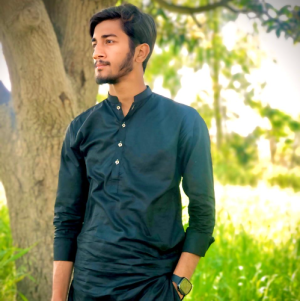 Muhammad Abdullah Zaheer-Freelancer in Multan,Pakistan