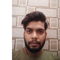 Naveen Kumar-Freelancer in Patna,India