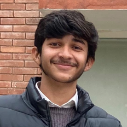 Muhammad Sultan Abbas-Freelancer in Islamabad,Pakistan