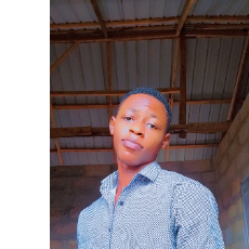 Bright Carlos Ntim-Freelancer in Kasoa,Ghana