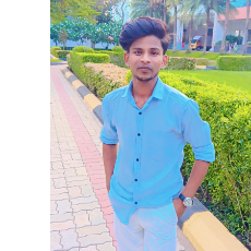 Santosh Kumar Khura-Freelancer in Umerkote,India