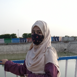 Saba Anees-Freelancer in Gujarkhan,Pakistan