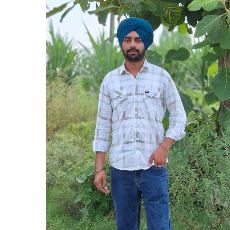 Sehaj Riar-Freelancer in Jalandhar,India