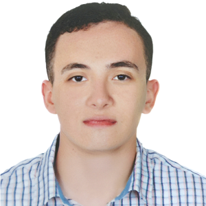 Gamal Shuayb-Freelancer in Halwan,Egypt