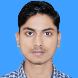 Rahul Kumar-Freelancer in Patna,India