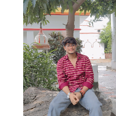 Vaibhav Seth-Freelancer in Jaunpur,India