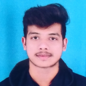 Aditya Rathore-Freelancer in Bilaspur,India