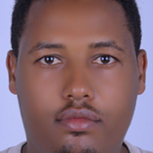 Dinbaru Alemu-Freelancer in Adama,Ethiopia