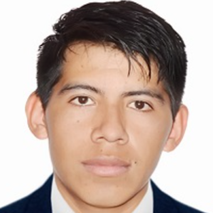 Walter Condori Alcasihuincha-Freelancer in Arequipa,Peru