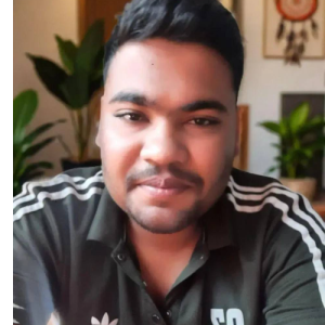 Saiyed Parvez Hasan-Freelancer in New Delhi,India