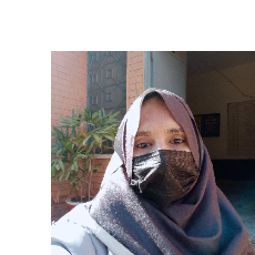 Saira Rao-Freelancer in Okara,Pakistan