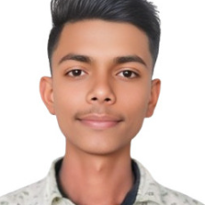 Ankit Pal-Freelancer in Darikha Shekh Ahmadpur,India